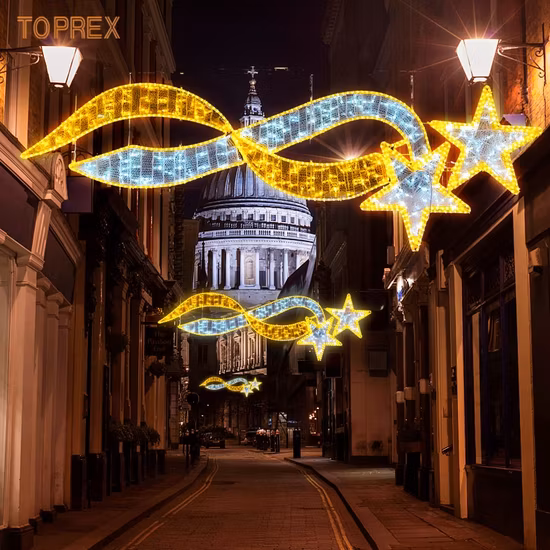 屋外のクリスマス装飾、2D LED テーマライト用のマルチカラー オプション